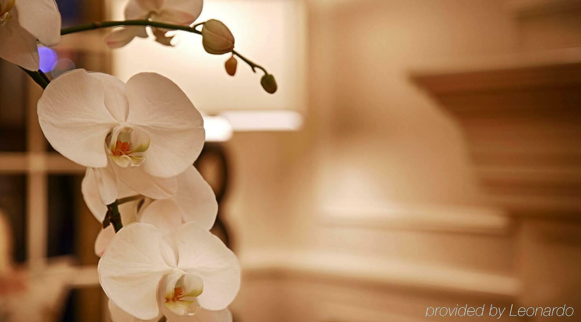 Wingate By Wyndham Bellingham Heritage Inn エクステリア 写真